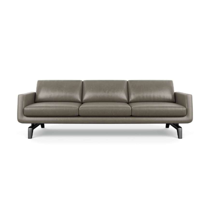 Picture of NASH SOFA